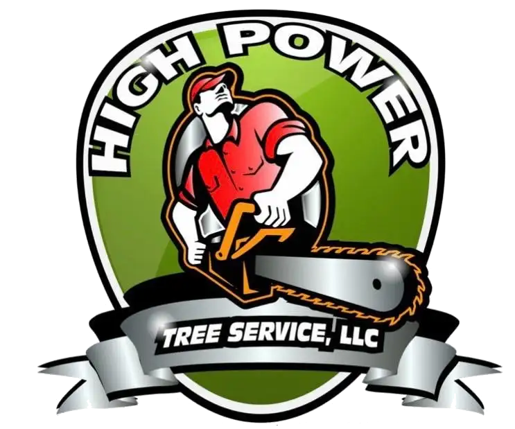 high power tree service